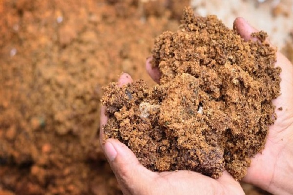 clay soil in 2020