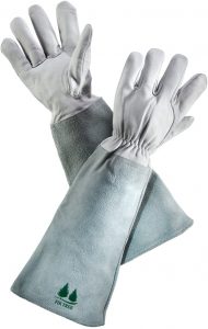 Fir Tree Leather Gloves