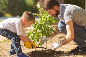 Gardening gloves