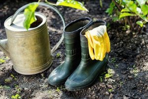 Gardening Shoes