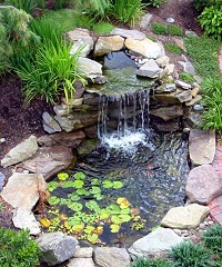 Garden ponds