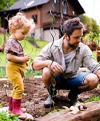 Veg Garden