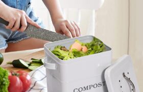 Morezi Compost Can Review